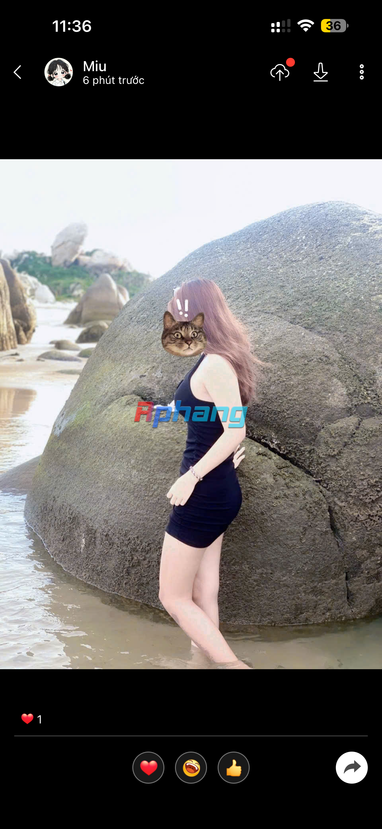 IMG_3531.png