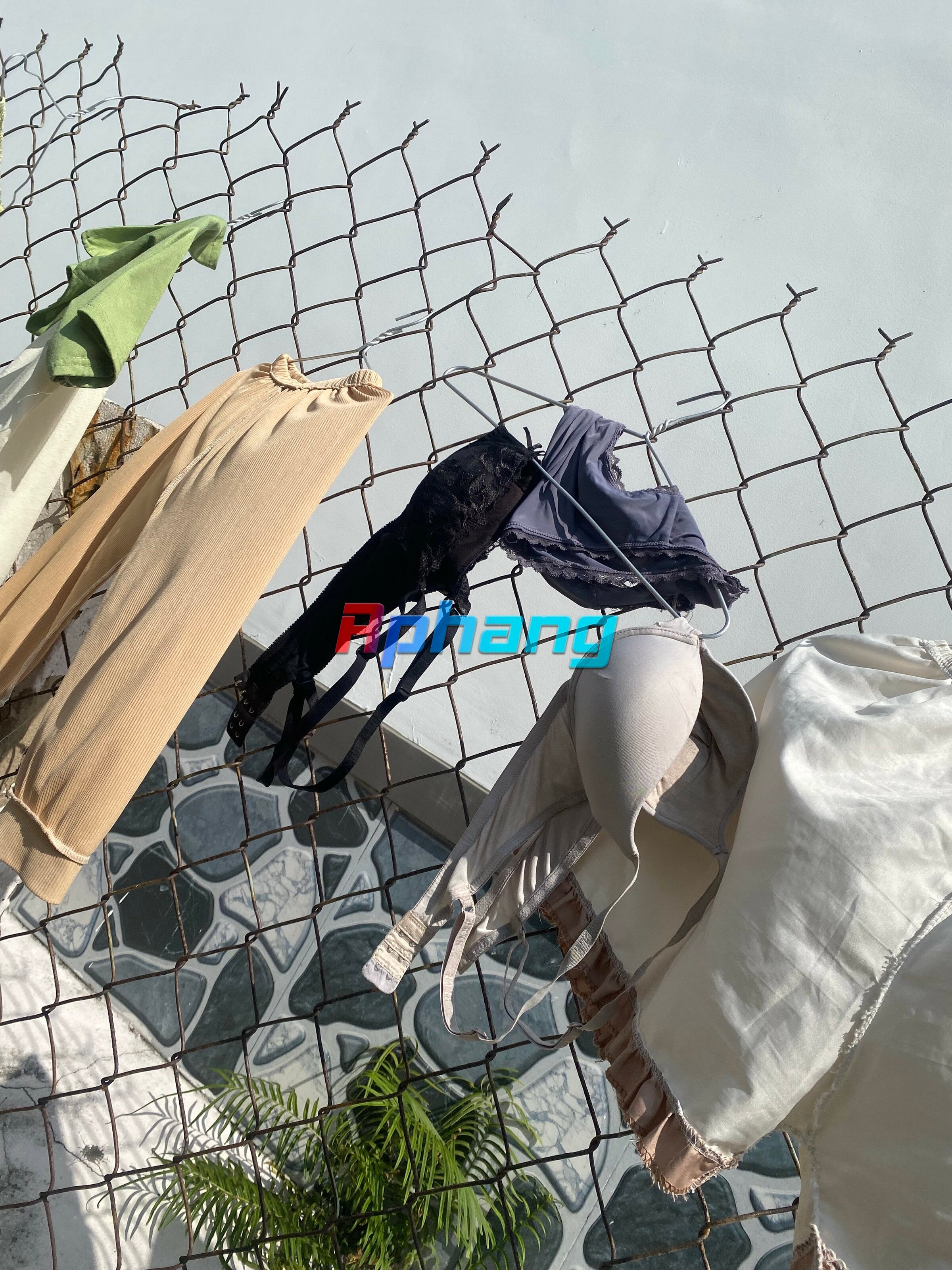 IMG_4011.jpeg