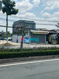 IMG_2669.jpeg