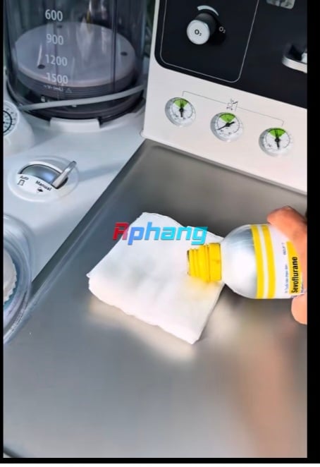Screenshot_20260407_114214_TikTok.jpg