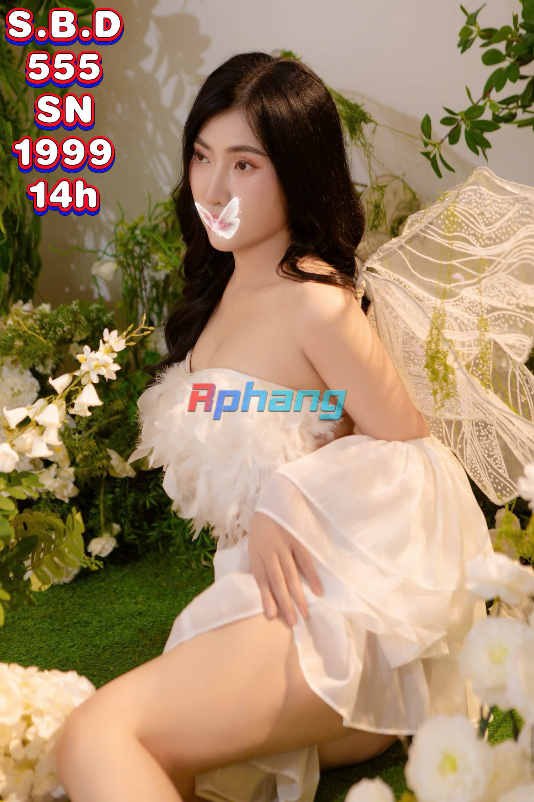 555.jpg