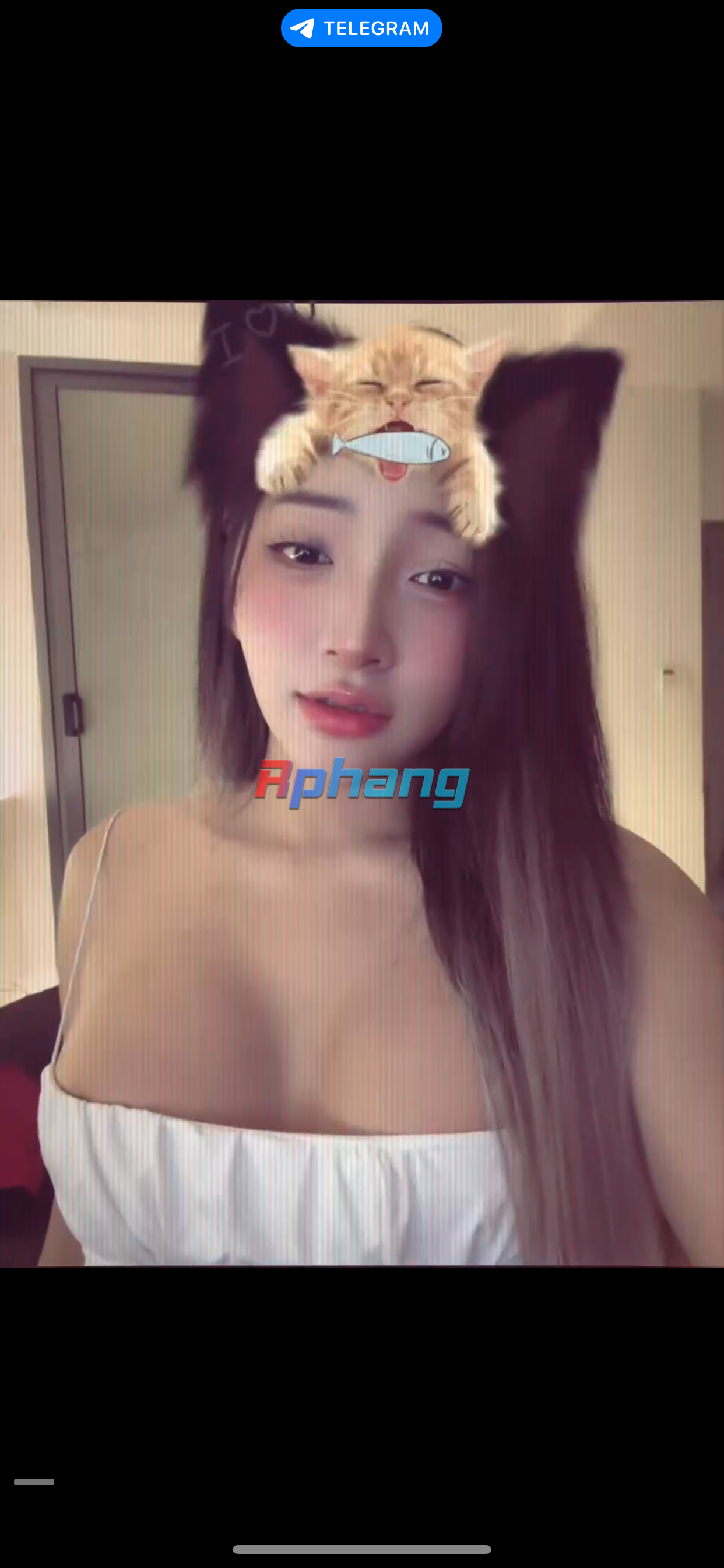 IMG_1335.png