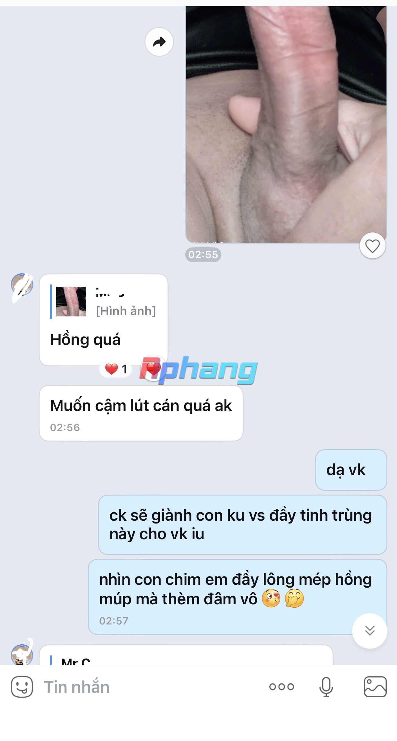 IMG_5223.jpeg