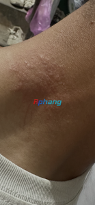 IMG_9218.png