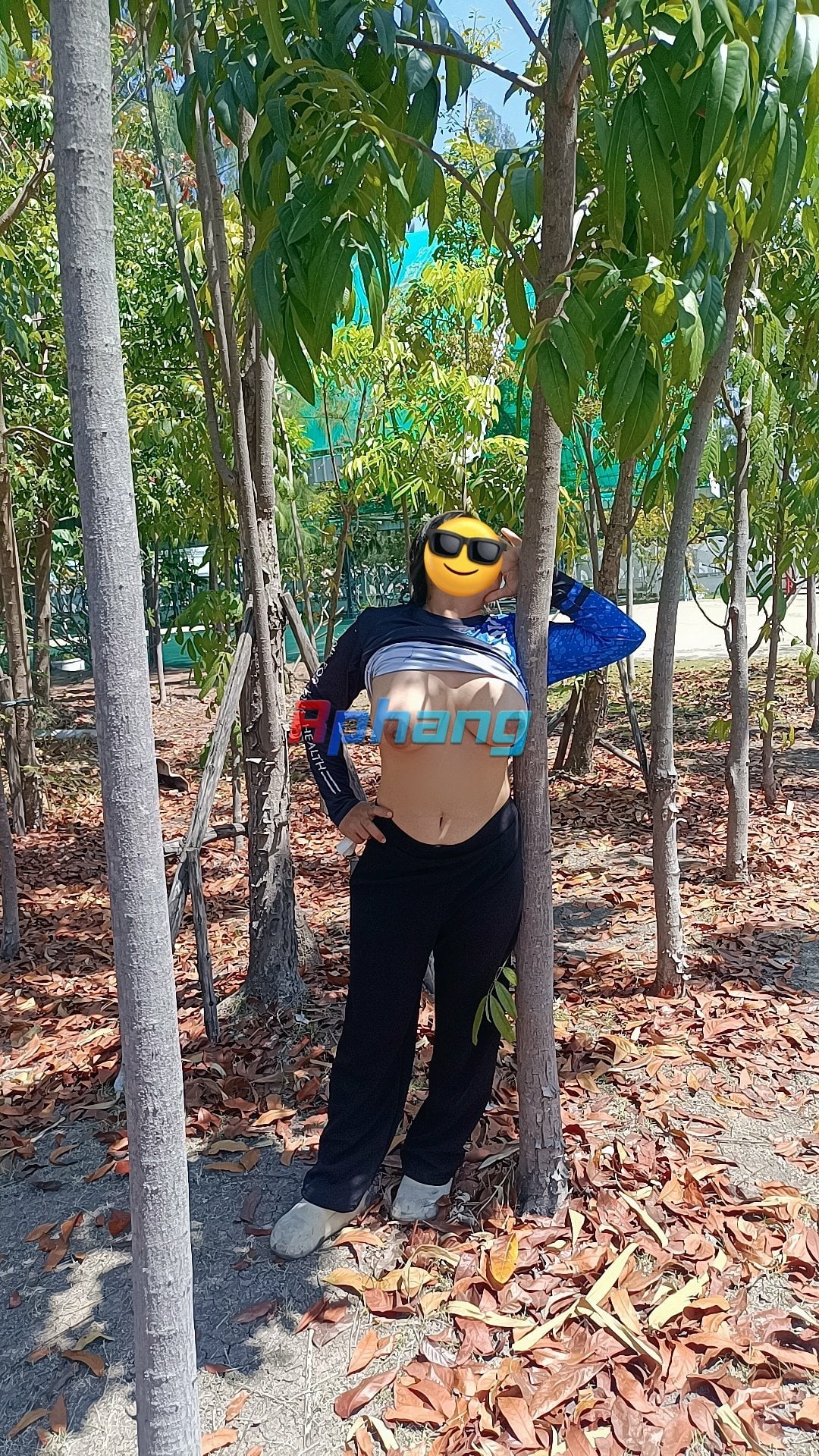 HCdQPeBb0AAsiro.jpg