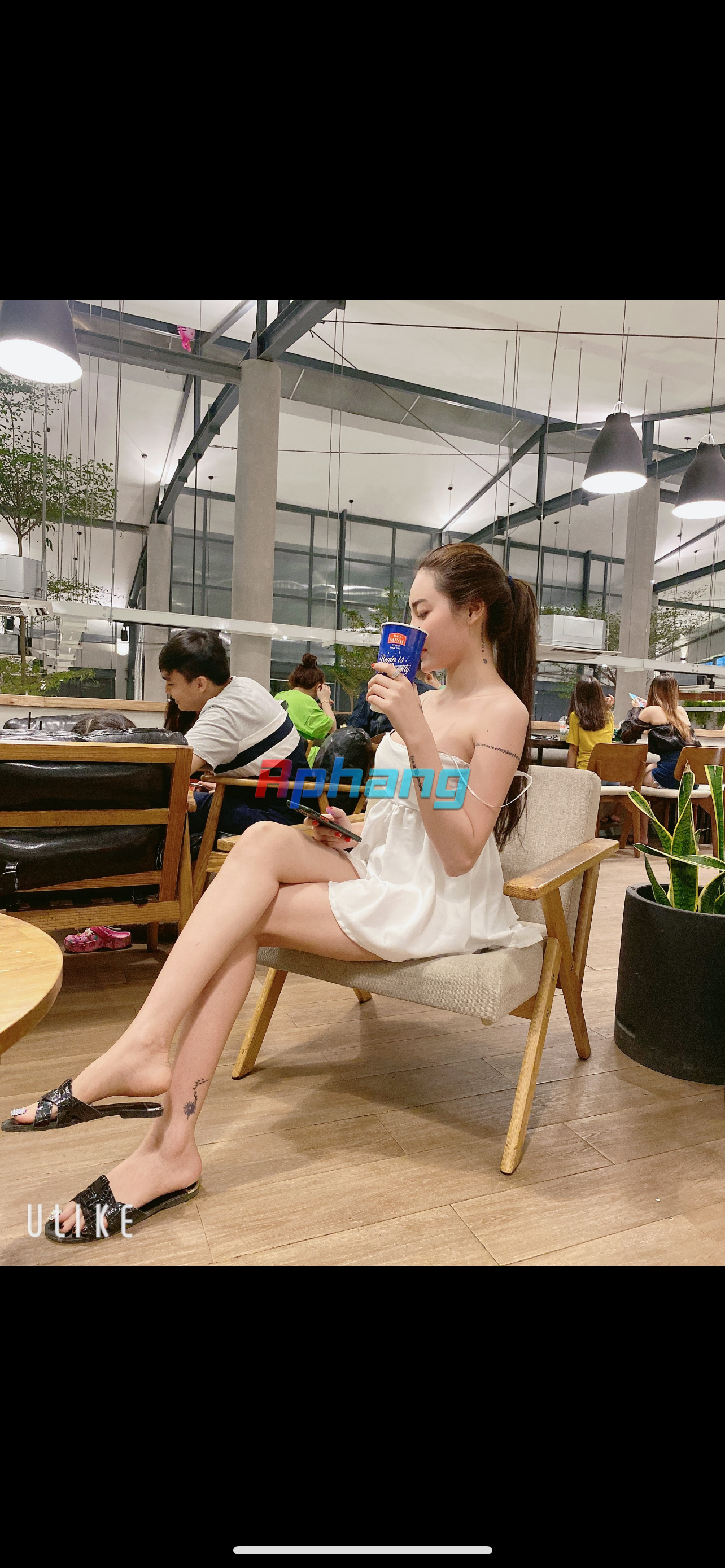 IMG_1808.png