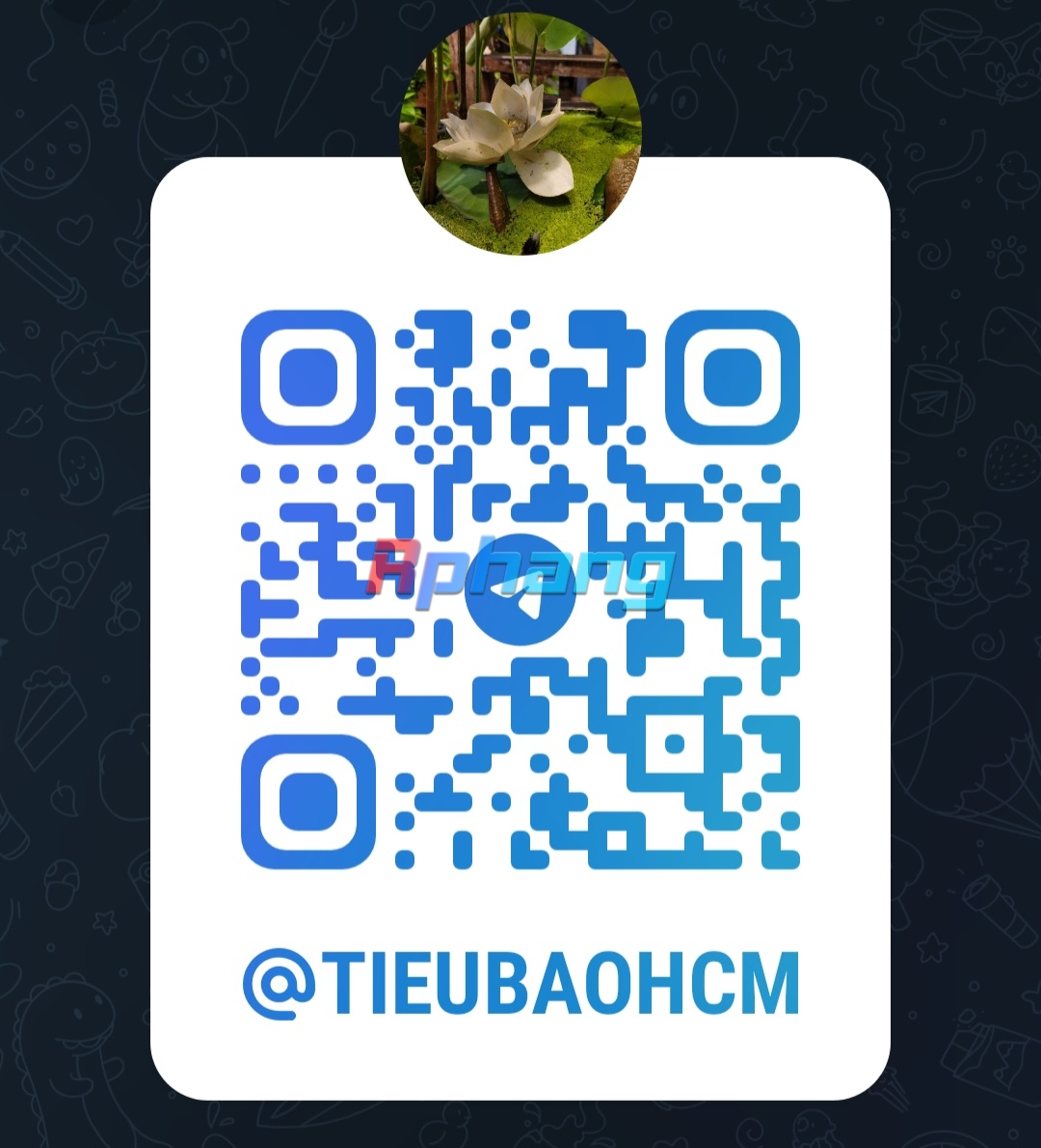 Screenshot_20260508_131704_Telegram.jpg