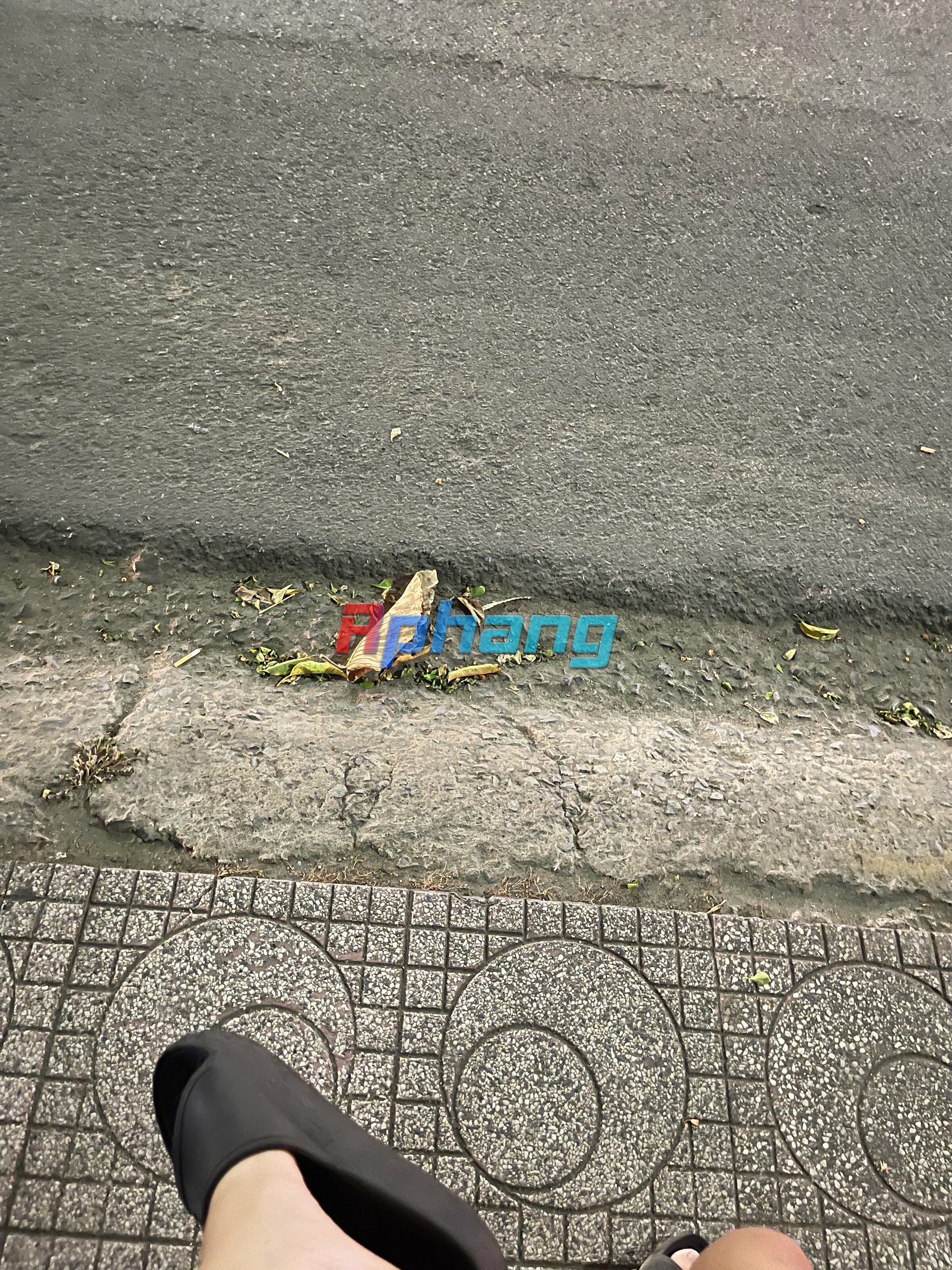 IMG_1082.jpeg