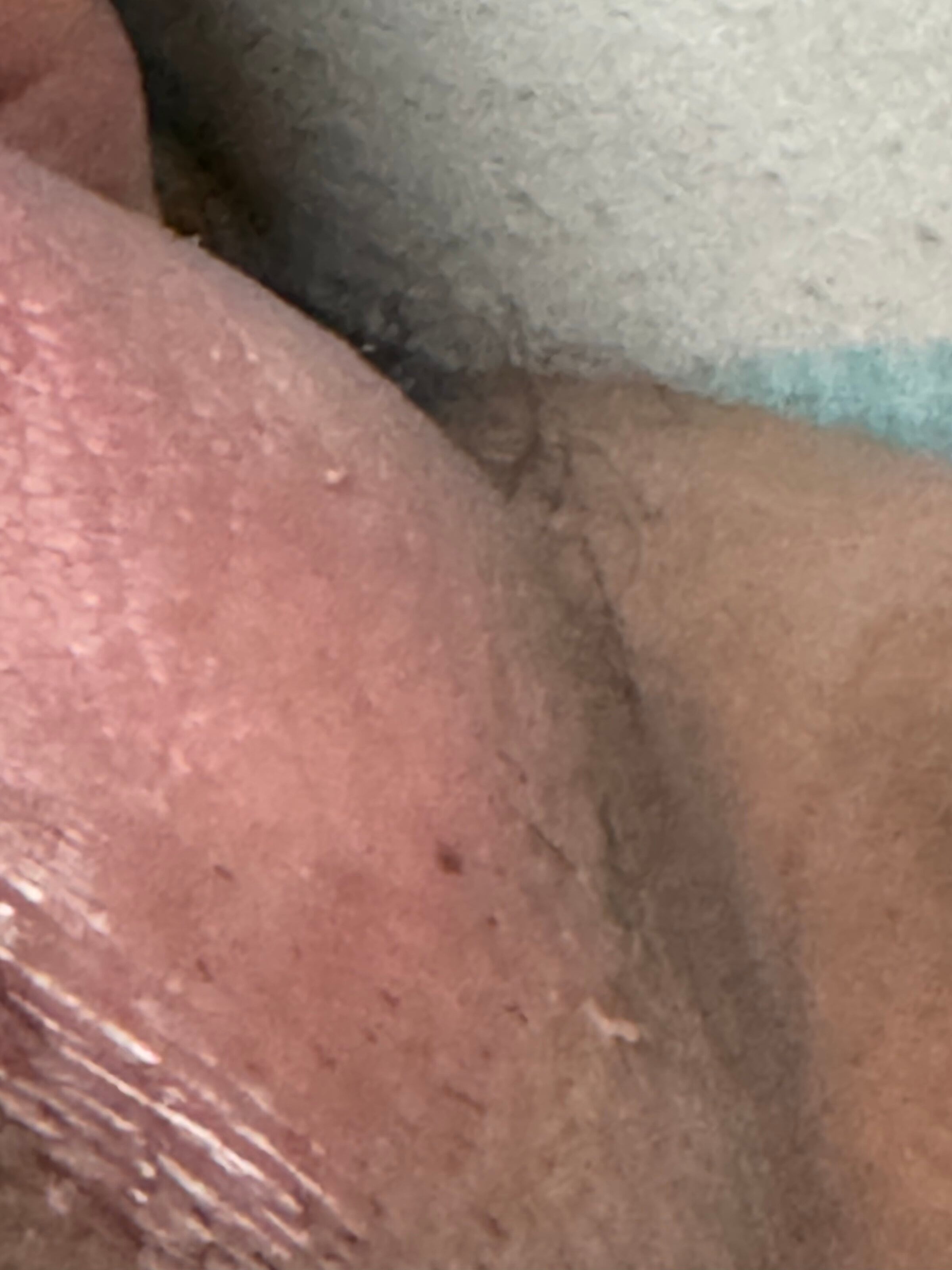 IMG_5159.jpeg