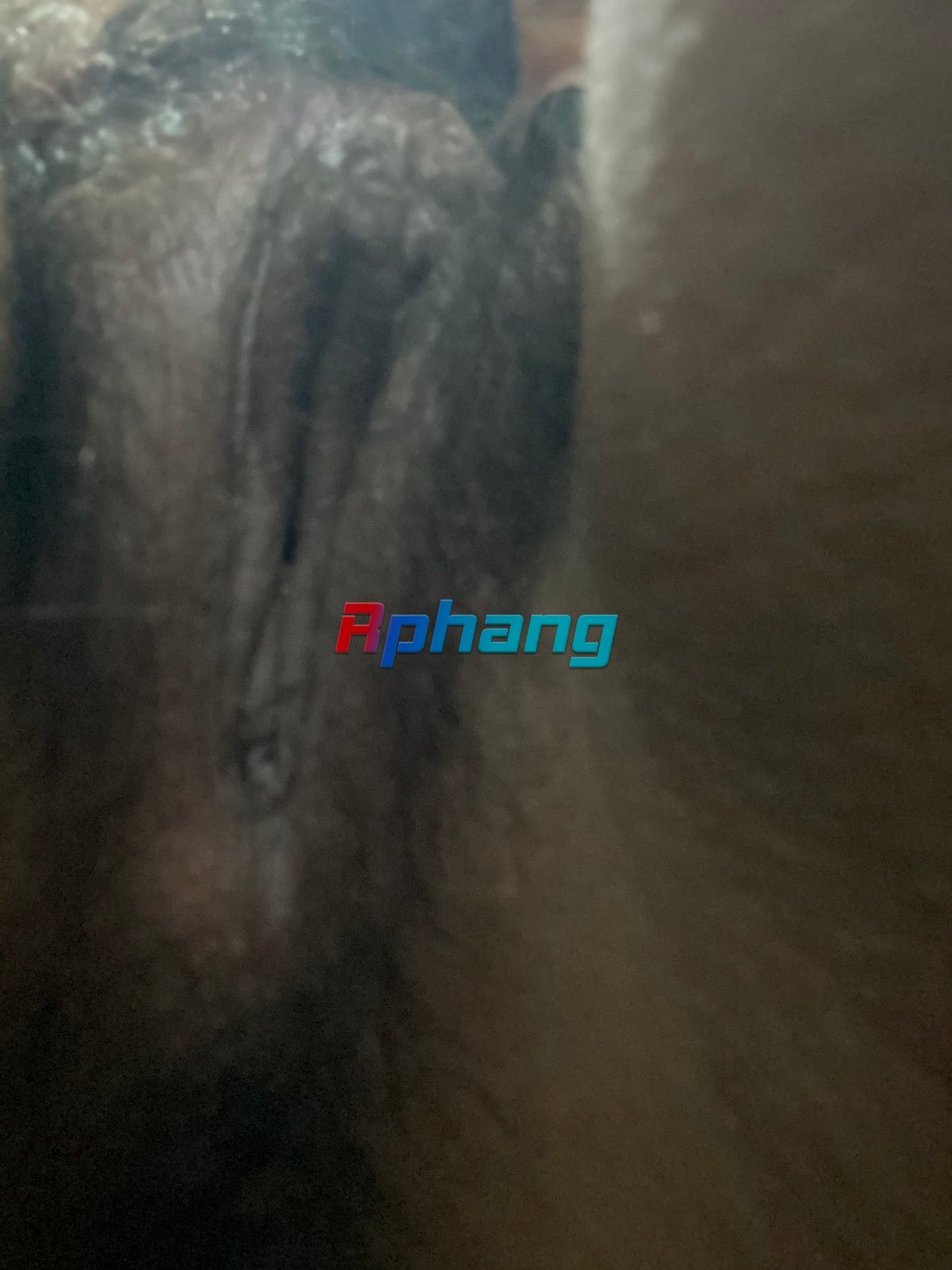 IMG_0284.jpeg