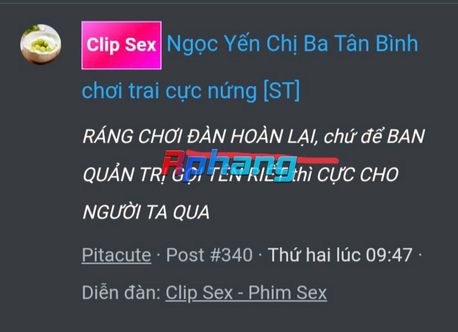 pitacute.jpg