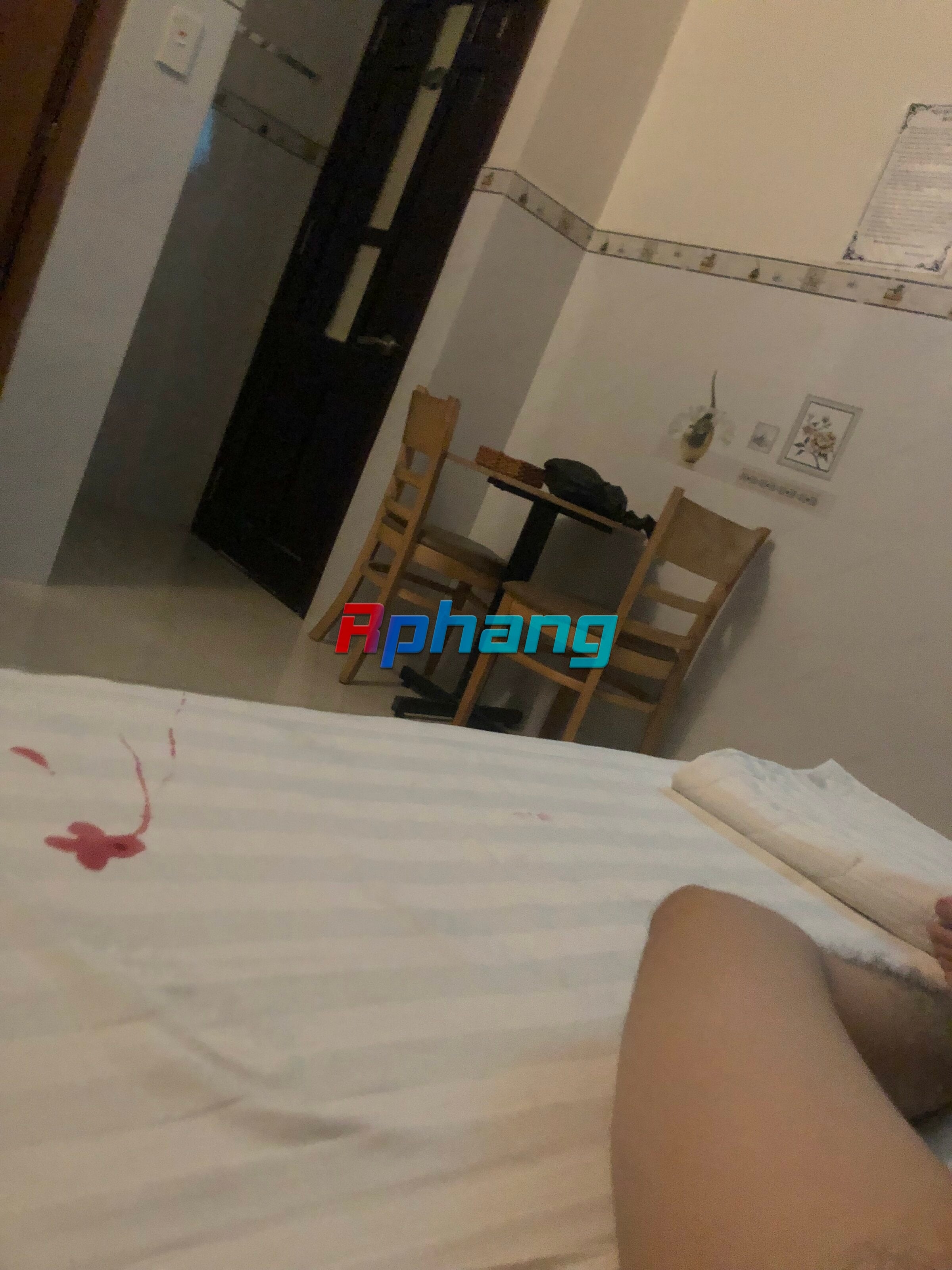 IMG_1381.jpeg