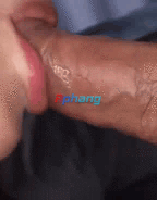 2852.gif