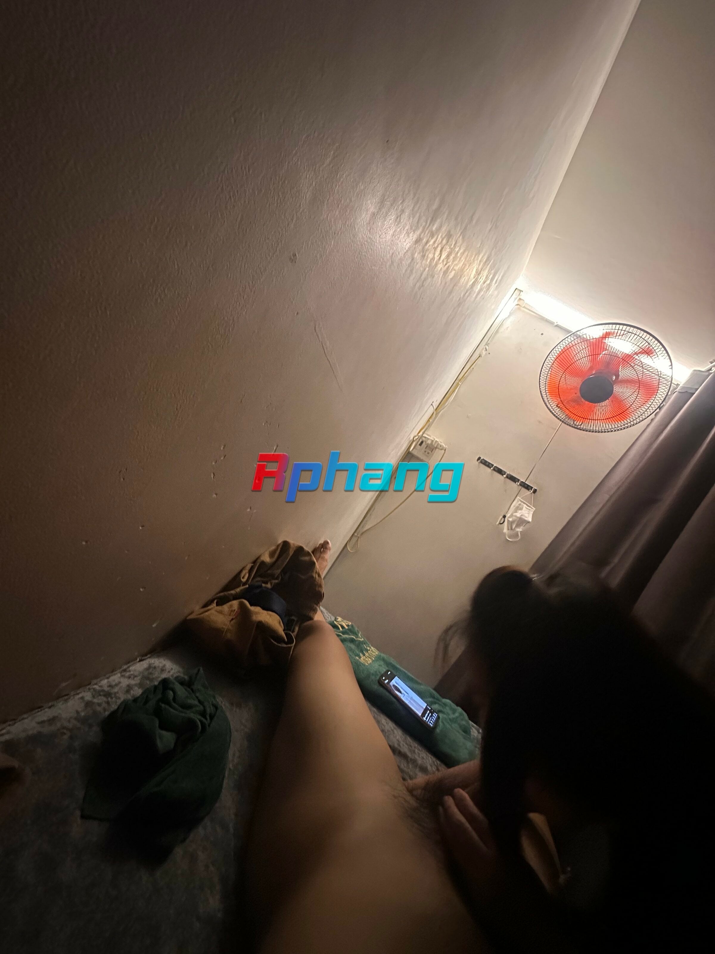 IMG_8345.jpeg