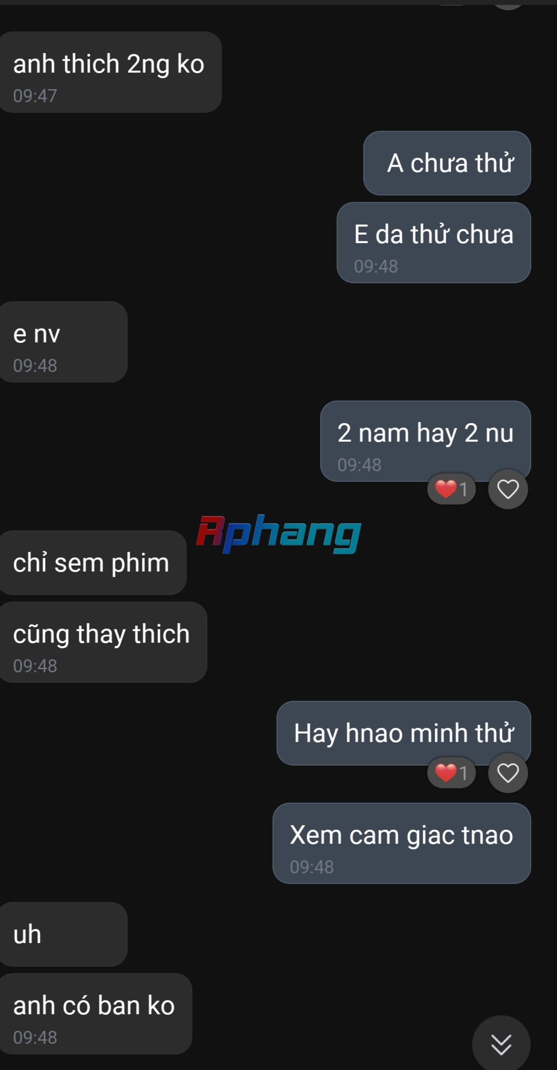 224.jpg