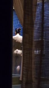 Bath Spy (12).png