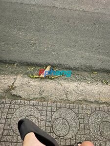 IMG_1082.jpeg
