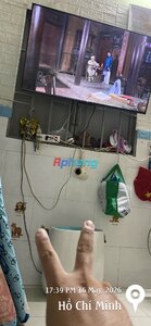 IMG_9161.jpeg