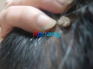 IMG_2537.jpeg
