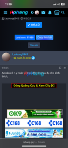 IMG_8028.png