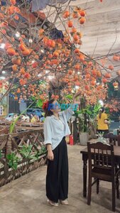 IMG_9229.jpeg