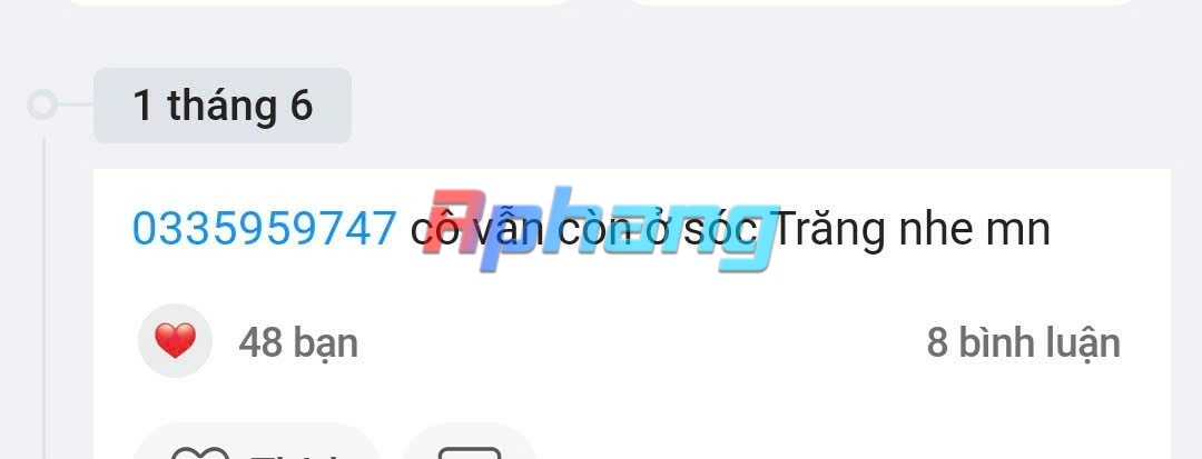 4071.jpg