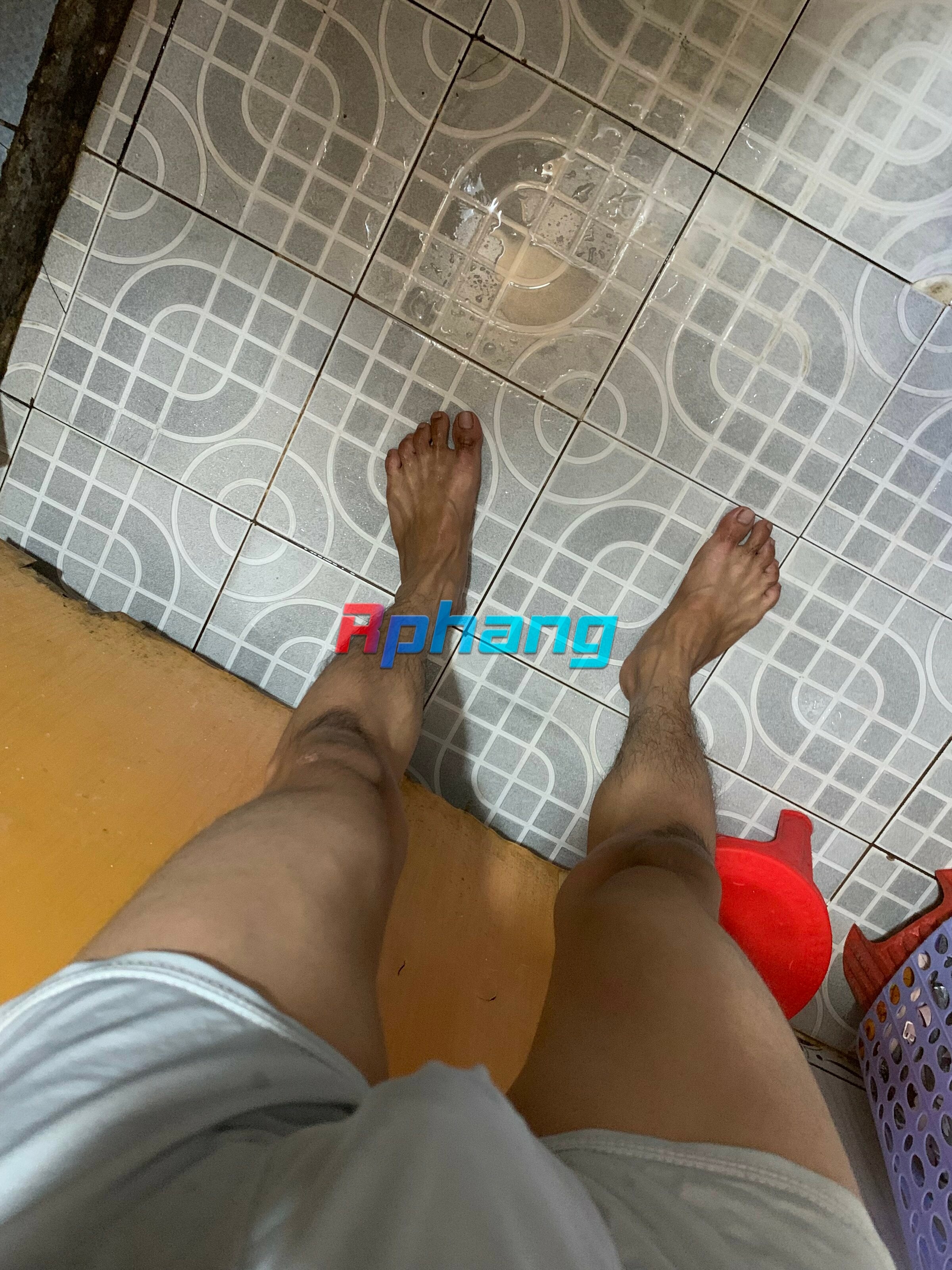 IMG_1310.jpeg
