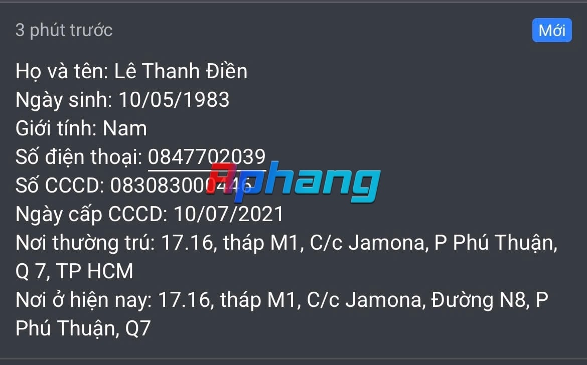 thanhdien.jpeg