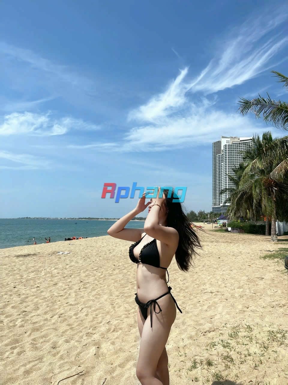 8151.jpg