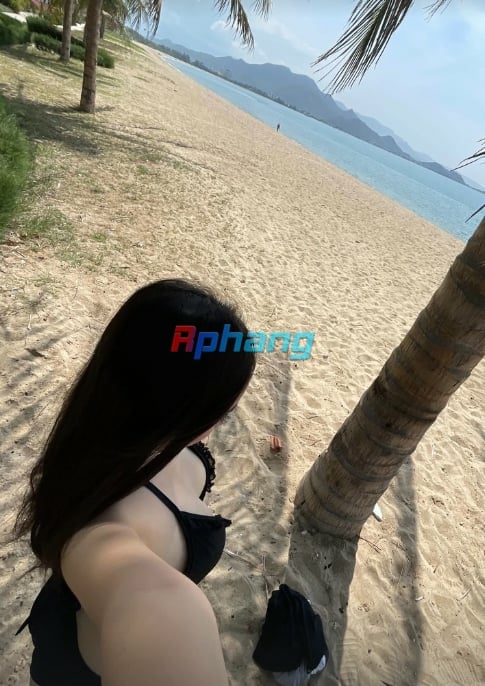 8153.jpg
