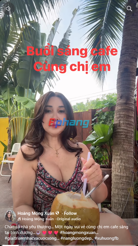 HoangMongXuan_v2.png
