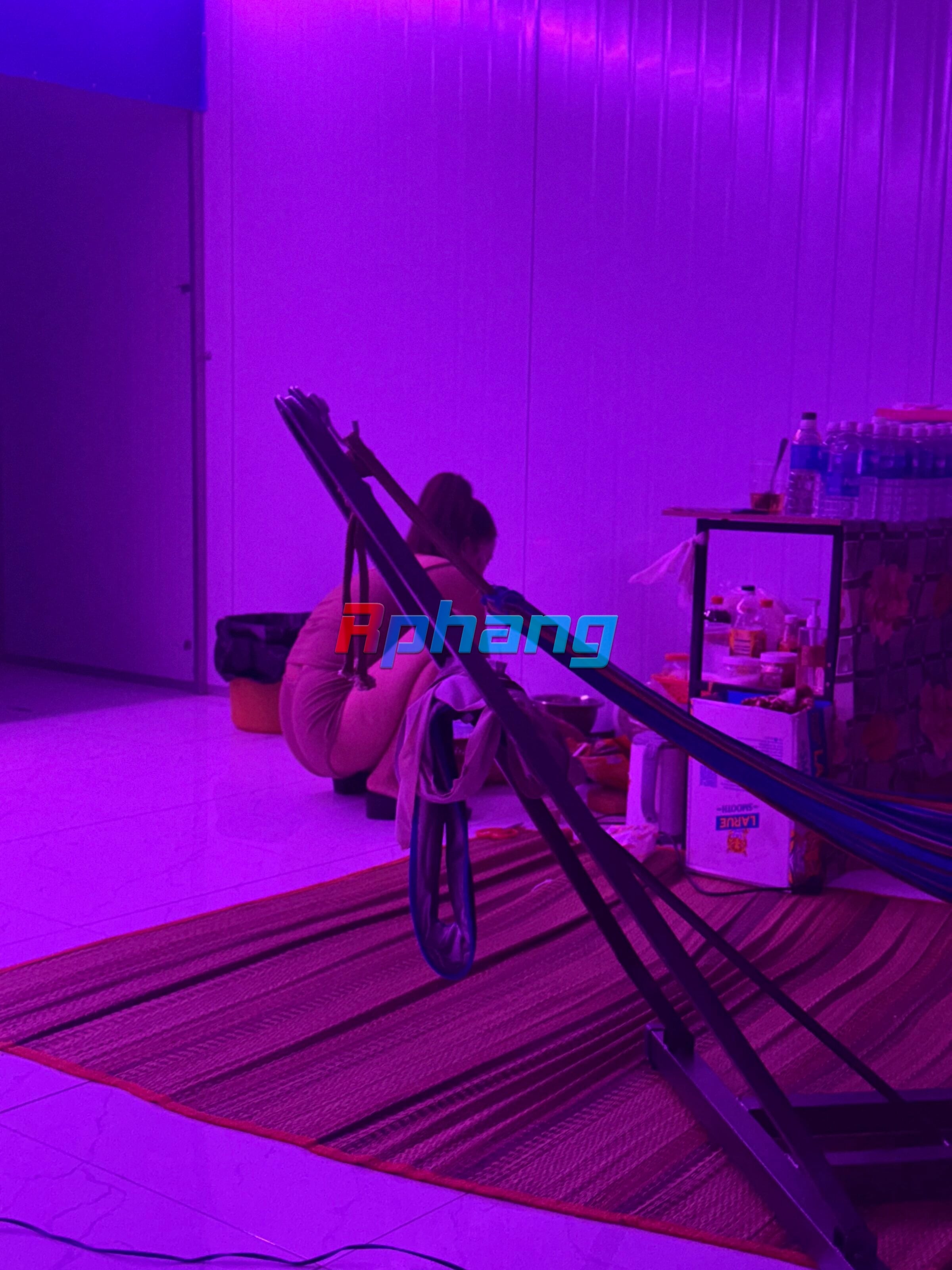 IMG_7833.jpeg