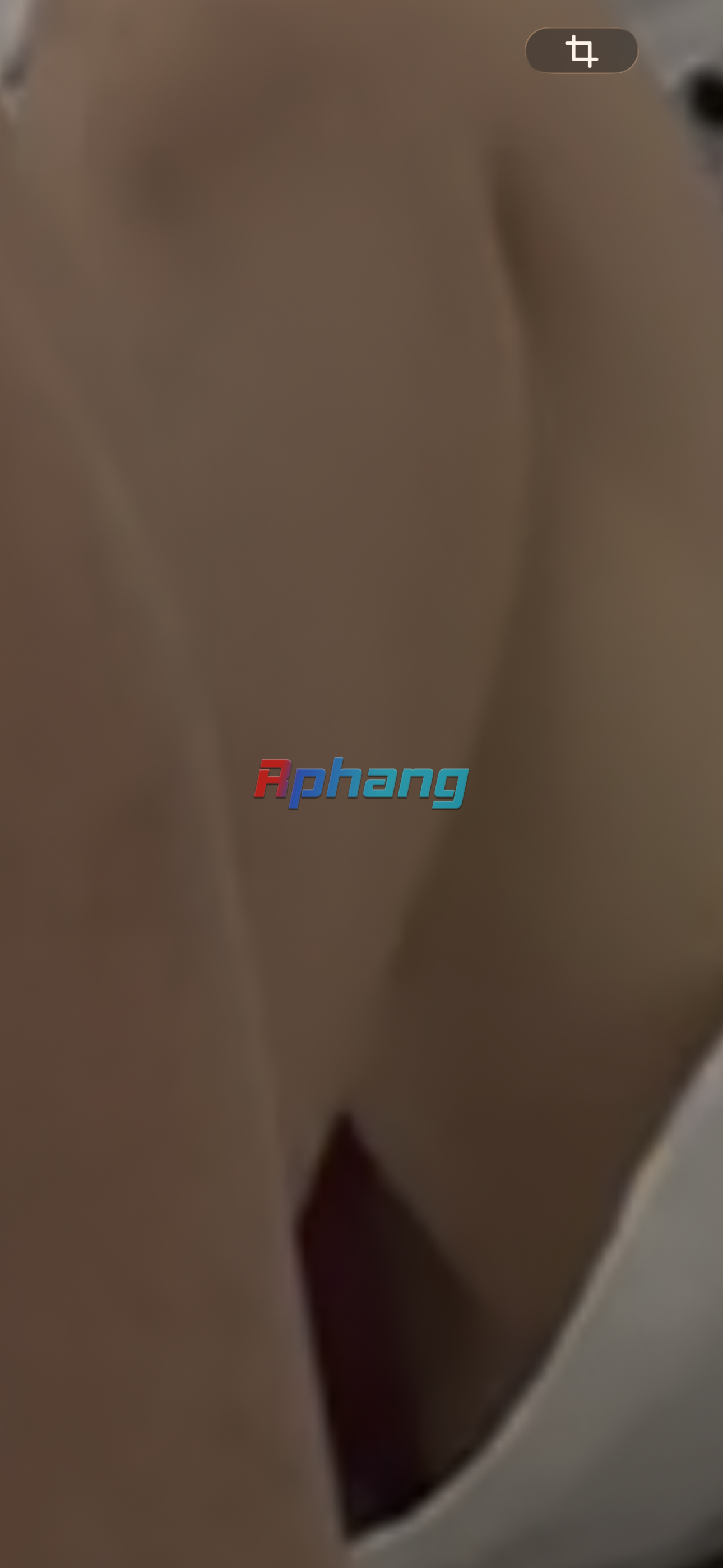 IMG_3578.png