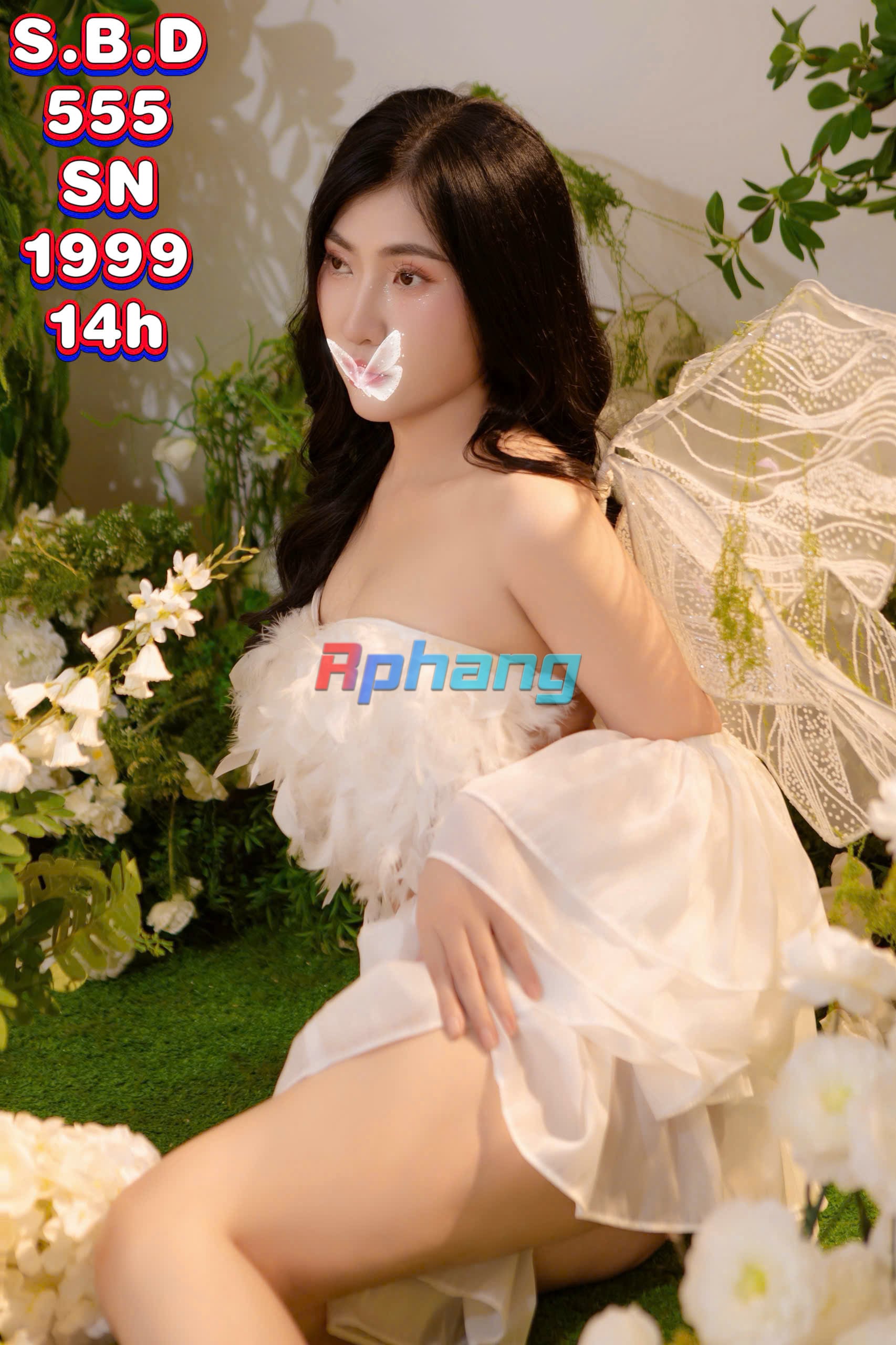 555.jpg