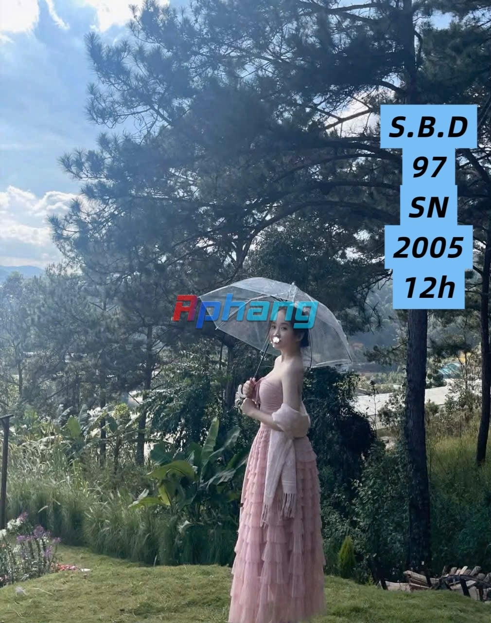 97,..jpg