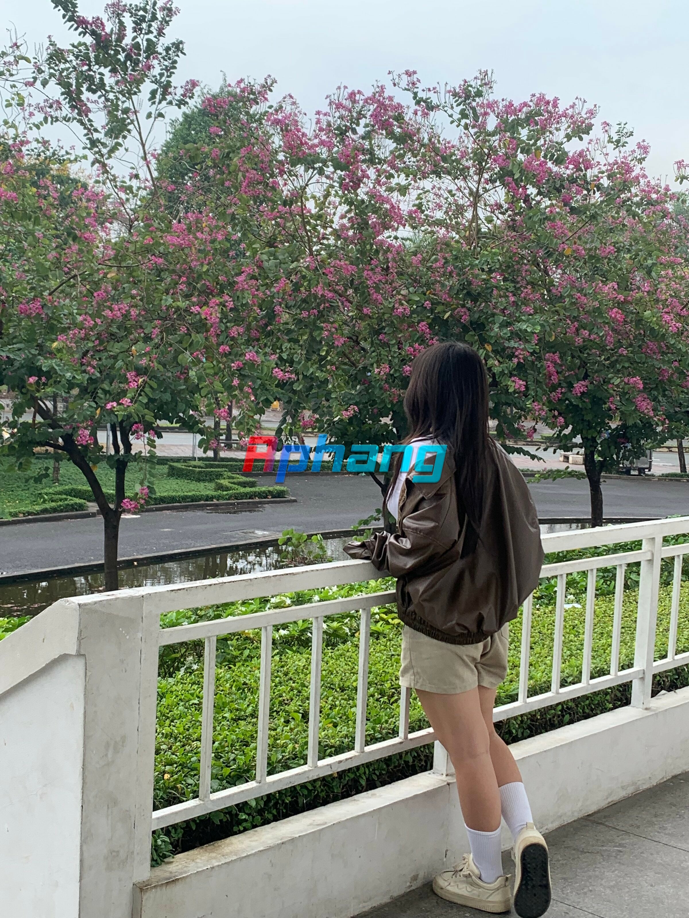 IMG_1806.jpeg