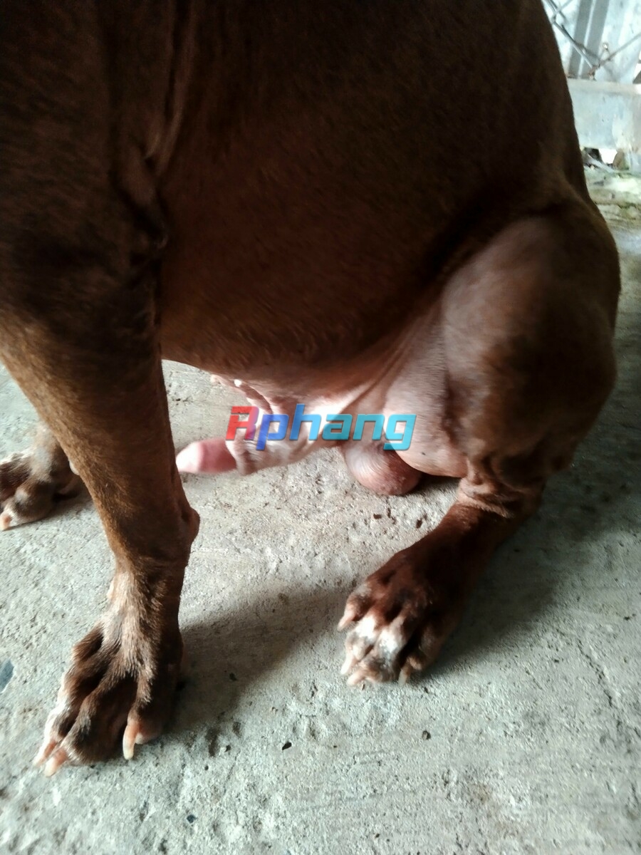 Minhi1177