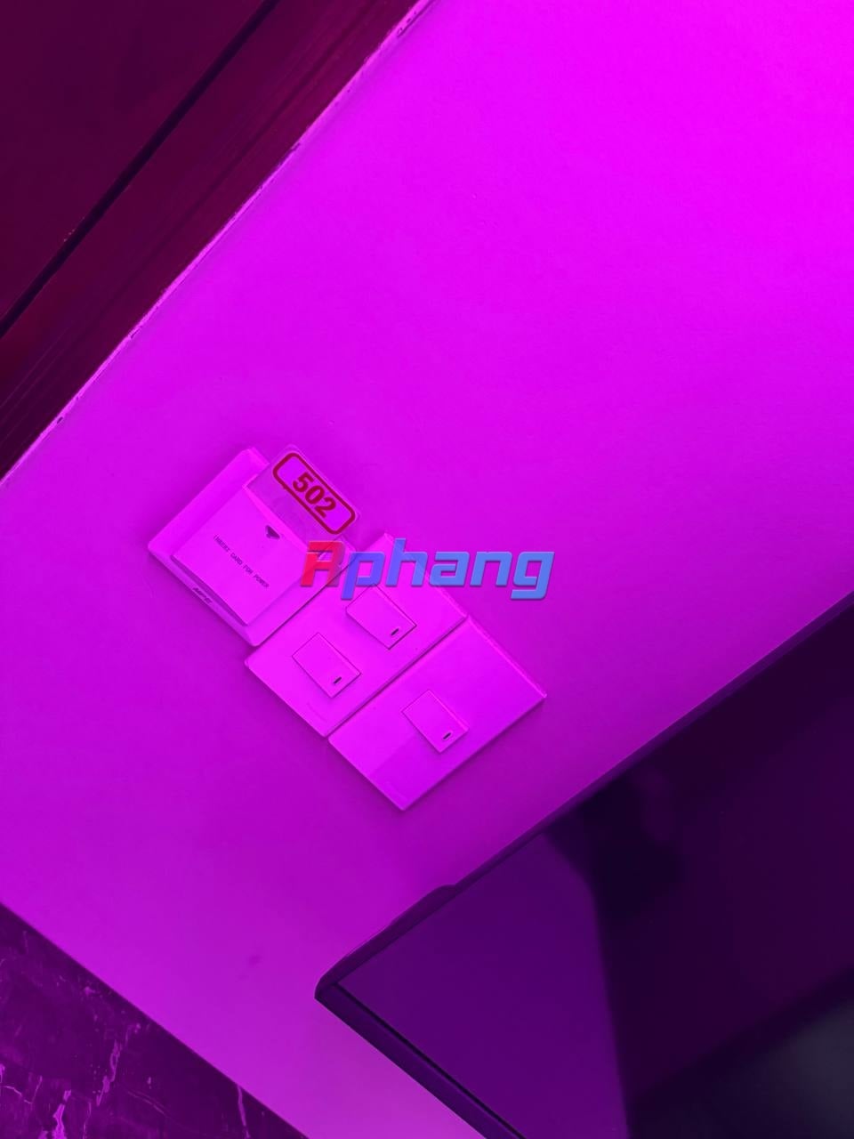 IMG_6767.jpeg