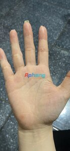 IMG_2731.jpeg