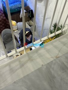 IMG_7064.jpeg
