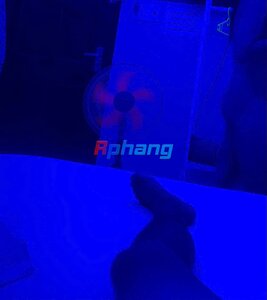 IMG_0512.jpeg