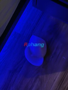 IMG_1770.jpeg