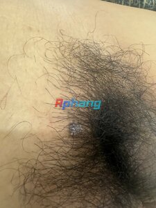 IMG_2792.jpeg