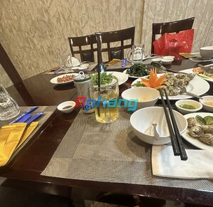 IMG_0011.jpeg