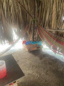 IMG_0578.jpeg
