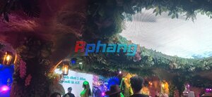 IMG_4100.jpeg