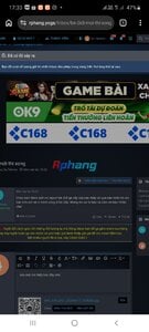 Screenshot_20260617-173338_Chrome.jpg
