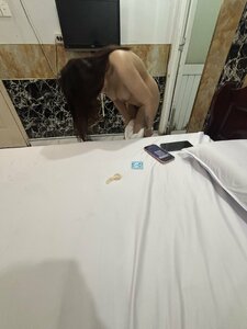 IMG_2067.jpeg