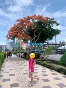 IMG_7417.jpeg
