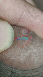IMG_20260620_235350.jpg